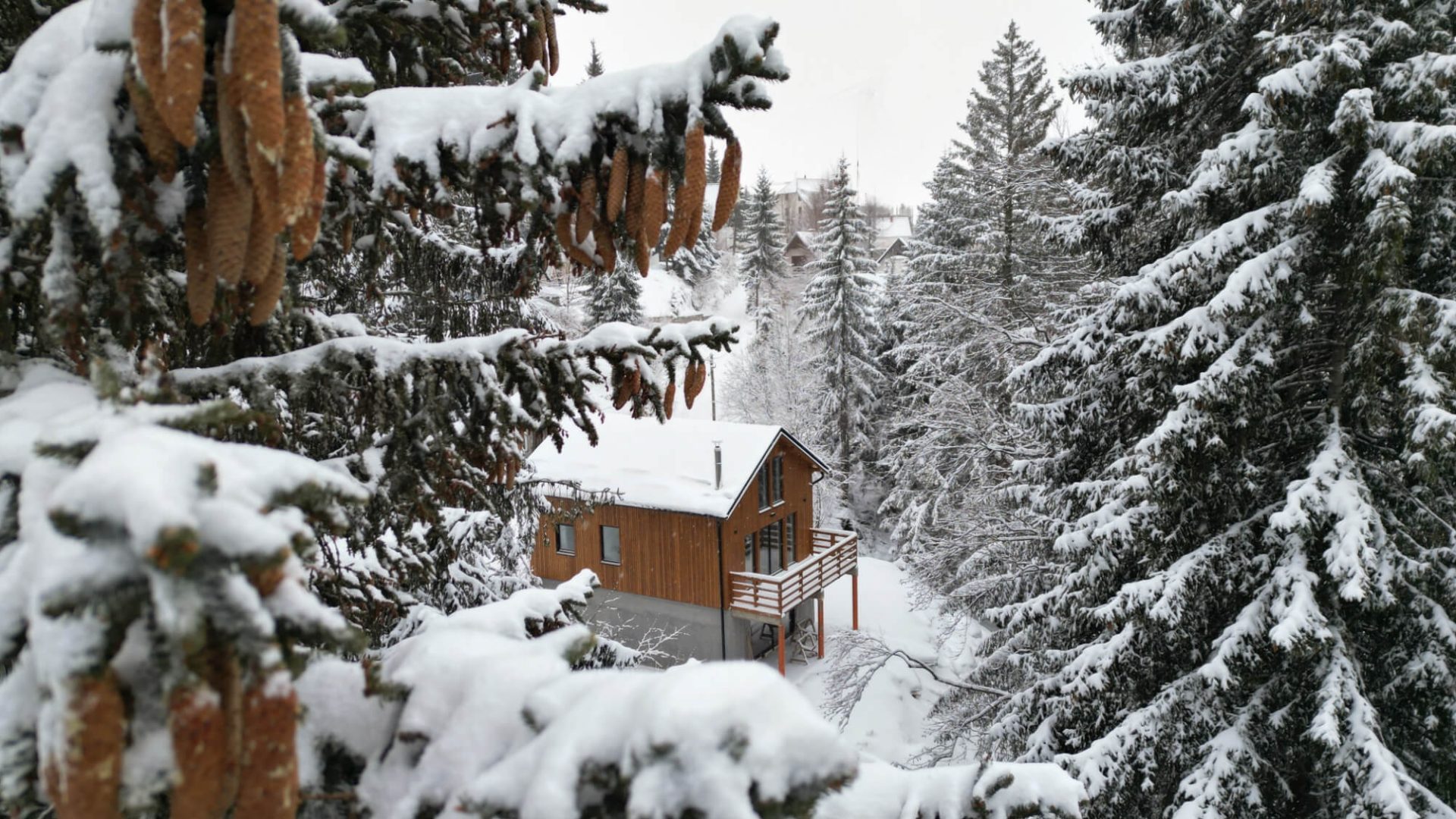 luxury house exterier kopaonik