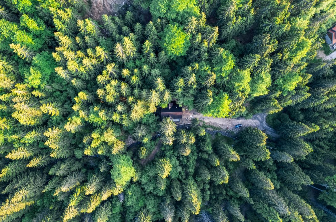 HostGost + selection premium housese Kopaonik