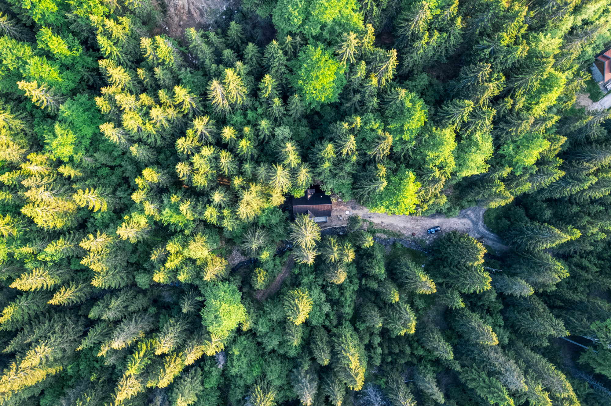 HostGost + selection premium housese Kopaonik